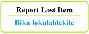 Report Lost Item
